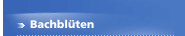 Bachblüten