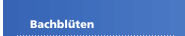 Bachblüten